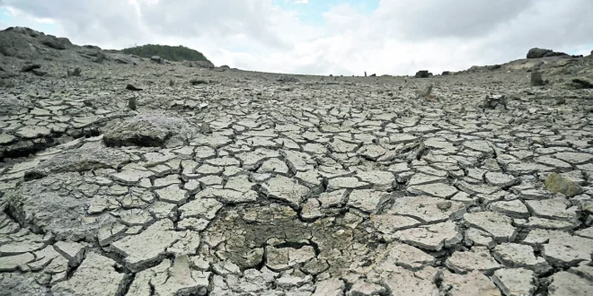 La lucha contra la desertificación: un momento crucial para el planeta La lucha contra la desertificación: un momento crucial para el planeta